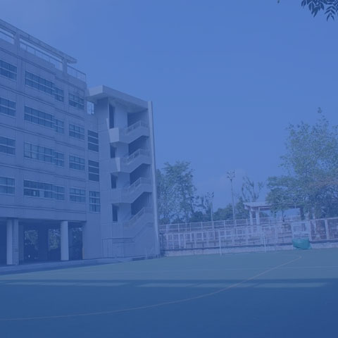 Schools